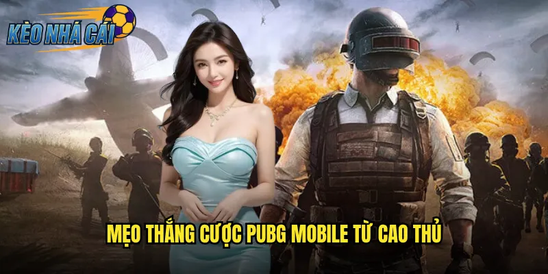 Mẹo Thắng Cược PUBG Mobile Từ Cao Thủ
