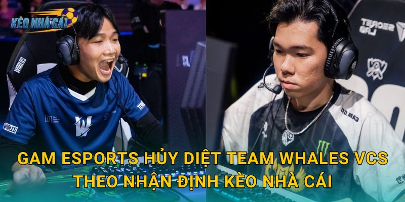 GAM Esports hủy diệt Team Whales VCS – Kèo nhà cái ghi nhận chiến thắng áp đảo của ông vua LMHT Việt 3 GAM Esports hủy diệt Team Whales VCS theo nhận định Kèo nhà cái